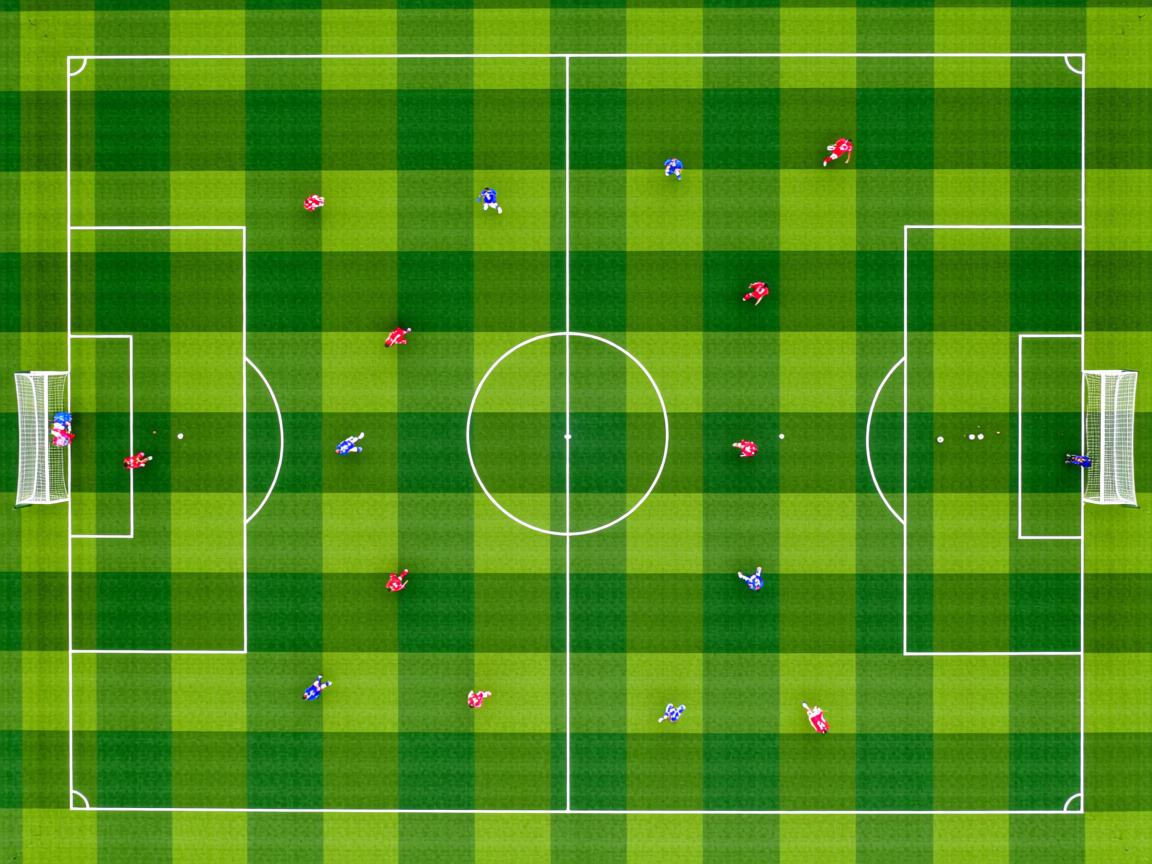 开云体育app-国家队临场应变能力亟待加强，临场应变能力的作用  第3张